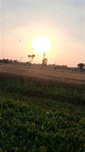 aaya ta khetarma video banava mate#newvlog#gujarati#minivlog#shortvideo ‪@vijju_vip_vlogs_7921‬