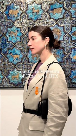 Visit the Museum of Fine Arts