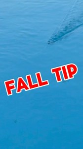 #strikekinglures #teamlews #fallfishingtip #midwayusa Strike King Lure Company • Lews Fishing Available at MidwayUSA https://www.midwayusa.com/product/1021928056 | Mark Rose