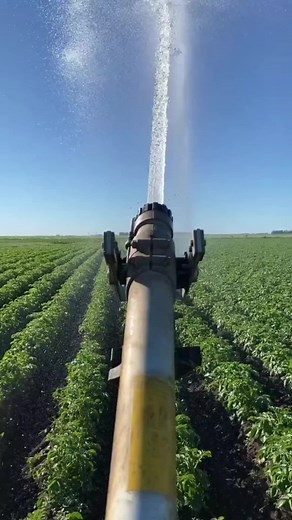 Just Paint Drops on TikTok