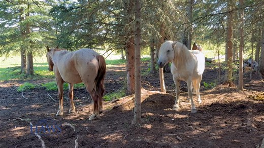 108K views · 6.3K reactions | A little recap of our visit (Day 2) at...