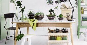 Comment faire un terrarium facilement : toutes nos idées