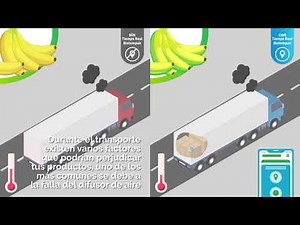 Monitoreo de Temperatura en Tiempo Real - Biotempak