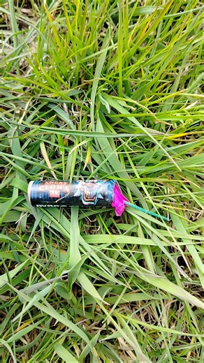 Angry Clown XS NWP PyroBandits #fireworks #shorts #foryou #vuurwerk #pyro #firecracker