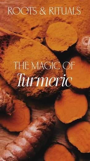 ☀️ The Magic of Turmeric: The Golden Shield of Prosperity Turmeric is a premier tool for radical purification and energetic clearing. For thousands of years, this golden root has been used to sanctify spaces and spirits. Magically, Turmeric acts as a spiritual deep-cleanse. If you’ve been feeling muddy, stagnant, or clouded by negative self-talk, its bright energy cuts through the gloom, washing away psychic debris and leaving your aura polished and glowing. Beyond its cleansing power, Turmeric 