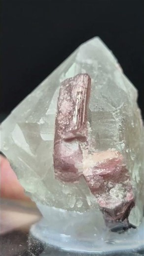 Tourmaline ( Araçuai, Minas Gerais - Brazil )