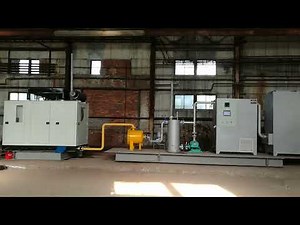 biomass raw materials through gasifier get 30KW-500KW Power Plant