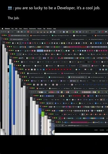 The Reality of Being a Developer | Dev Life Struggles