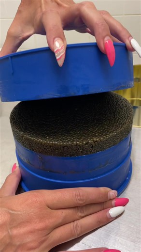 Discover the Beauty of American Black Bowfin Caviar