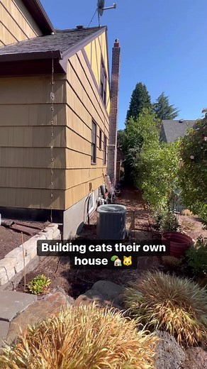 Happy Tuesday! 😺 Take a peek at this inspiring setup – a two-structure Catio, connected by a cat run. Get inspired for your next feline project! 🏡🐾 #CatioInspiration | The Catio Company