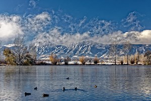 Bird-Watching in Boulder, Colorado