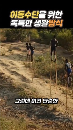이동수단을 위한 독특한 생활방식