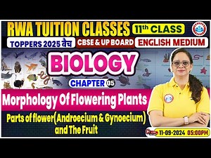 Class 11 Biology Chapter 5 | Morphology Of Flowering Plants By Vandana Mam