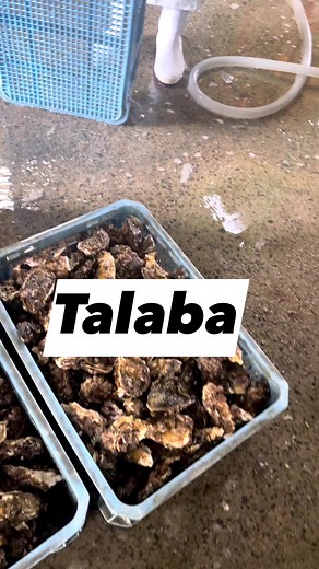 Karatski 🇯🇵 (Fresh Oyster) #japan #hiroshima #talaba #oyster #bisaya #seafoodlover | LOIE TV