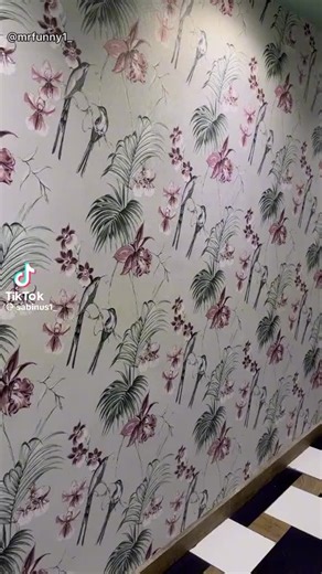 ilu 1 (@ilu.147)’s videos with original sound - ilu 1