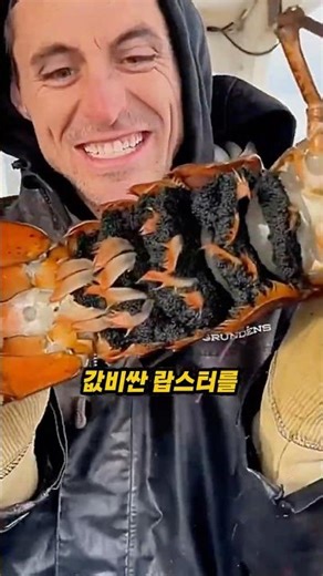 수십만원 랍스터를 버리는 이유 #정보 #랍스터