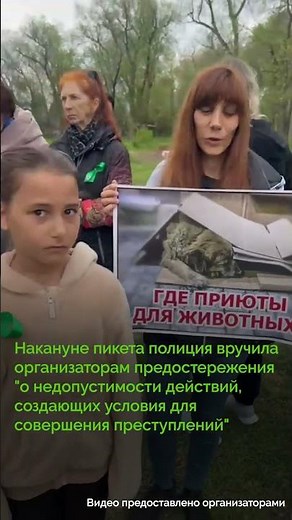 Жители Краснодара выступили в защиту бездомных животных