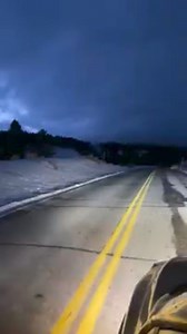 23K views · 441 reactions | #yellowstonewolves #wolves #wolf | Yellowstone Wolves | Facebook