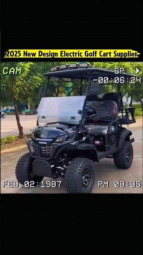 What Is the Best Size Golf Cart for Families? #electricgolfcart #golfcart