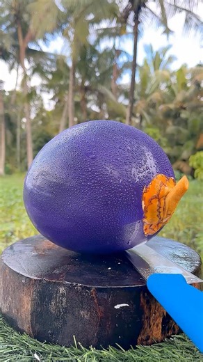 Watch Till the End, Rarest Purple Coconut #shorts