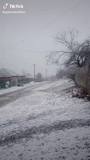 Captivating Snowfall Scenic Landscape