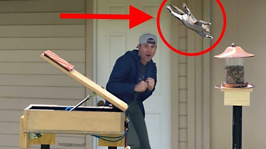 2.7M views · 8.3K reactions | Squirrels were stealing my bird seed so I solved the problem with mechanical engineering :) #GotMeThrough2020Challenge | Mark Rober | Facebook