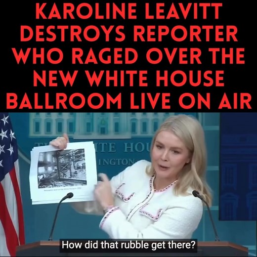 WOW! Total smackdown 😂 | DC Swamp