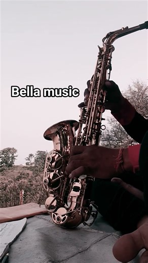 learning saxophone instument bybella casio