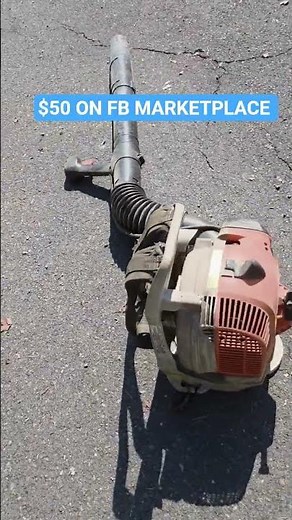That $50 STIHL Sound! 🔊 BR 200 | FACEBOOK FIND!