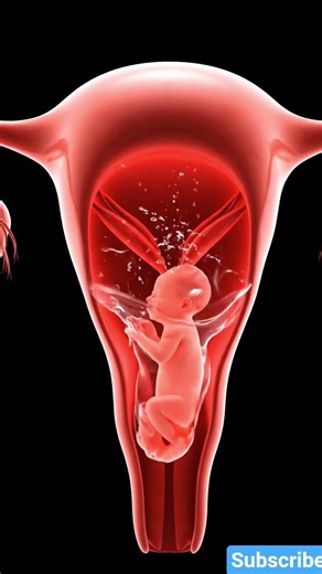 What Happens During Labor Contractions 😳 #Shorts