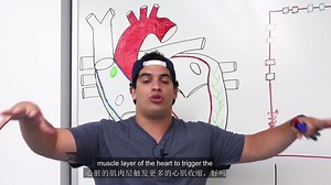 Cardiovascular Electrophysiology Intrinsic Cardiac Conduction System