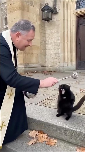 Priest Tries to Bless a Cat… It Goes Terribly Wrong 😱💦😼 #sora
