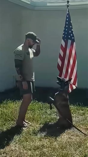 K9 dog 🐕 training 💪 Health and wellness website HealioUSA.com #K9Training #MilitaryDogs #WorkingDogs #DogTrainingLife #EliteK9 #TacticalDogs #K9Unit #DogObedience #ServiceDogs #USMilitaryDogs #TrainHardFightEasy #ProtectionDogs #CanineHeroes #DogsOfInstagram #DogTrainingUSA #k9handler | K-9 Guards