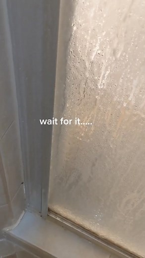 7.8K views · 487 reactions | Bathroom privacy and a couple of dachshunds? Good luck with that!  | Lenny and Lexie | Facebook