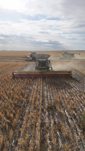 3 in a row 🌾 🚜 CLAAS #HarvestSeason #mymoree #outbackaustralia #beefwoodharvest2025 #lifeontheland | Kurstjens Farming Australia / Beefwood Farms