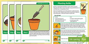 KS1 Planting Bulbs Activity Instructions