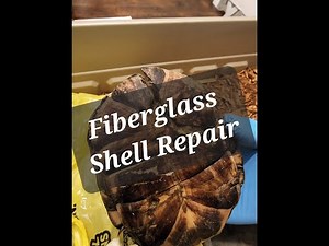 Repairing a Turtle Shell with Fiberglass www.dandytortoise.com