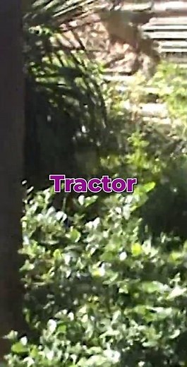 Tractor Supply Review....#farming #outdoors #animals