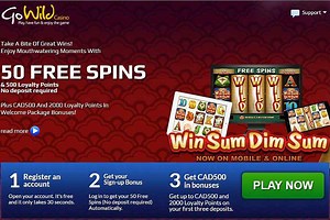 100 Free Spins At Gowild Casino