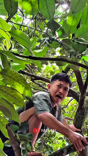 211K views · 1.4K reactions | Best video halloai‼️Membuat gigi menjadi warna warni | Hallo Ai Rells | Facebook