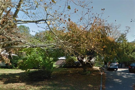 Double sword-wielding man ‘acting violent’ fatally shot by NY cops