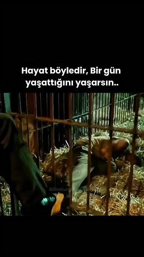 182K views · 355 reactions | Film Adı ; Kabus Sokağı (2021) Film Konusu ; Bir karnavalda öğrendiği insanları manipüle etme yeteneğiyle ünlü bir mentalist olmanın kapılarını aralayan Stanton’ın, en az kendisi kadar hırslı bir kadın Dr. Lilith Ritter ile yakınlaşması sonrası gelişen olayları anlatıyor. | Bilimkurgusahneleri | Facebook