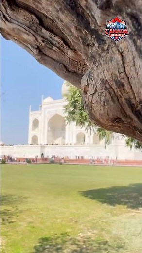 This Is Why Taj Mahal Is a 7th Wonder of the world 😳✨ india 🇮🇳