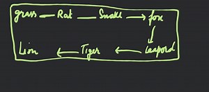 What is food chain Ans A food chain is the chain in which the ... | Filo