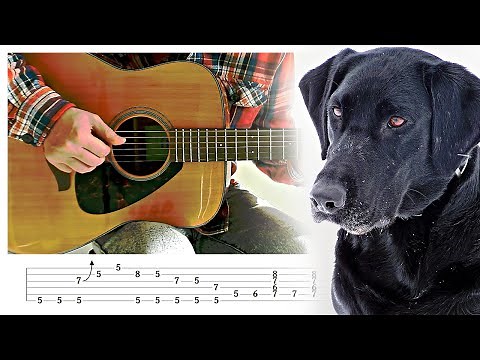 Black Dog Blues [Fingerstyle Blues] Guitar Lesson w/ Tabs!