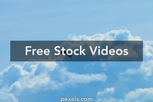 Eagle Videos, Download The BEST Free 4k Stock Video Footage & Eagle HD Video Clips
