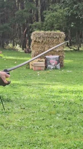 best way to practice small game hunting. trad bow style #smallgame #bowhunt #bowhunt