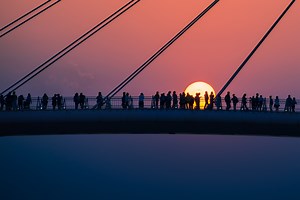 Forensic and Integrity Services