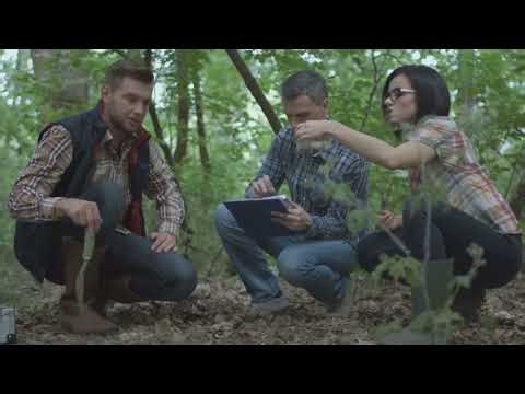 Mastering the Hardy-Weinberg Equation in Genetics