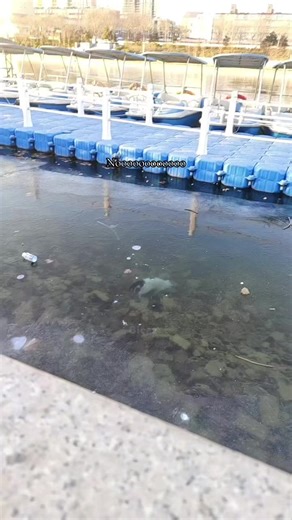 I am sorry for say this ....it not AI🥹#fyp #foryourepage | dance